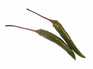 Image showing Green chilli