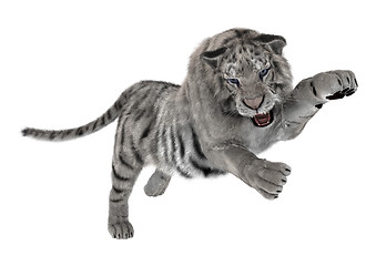 Image showing White Tiger