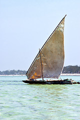 Image showing beach    zanzibar seaweed  