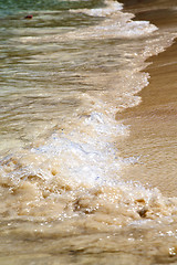 Image showing abstract   thailand kho tao bay coastline     south china sea