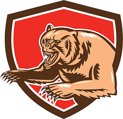 Image showing Grizzly Bear Angry Shield Retro