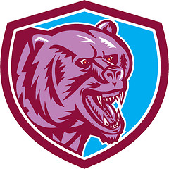 Image showing Grizzly Bear Angry Head Shield Retro