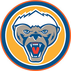 Image showing Honey Badger Mascot Head Circle Retro