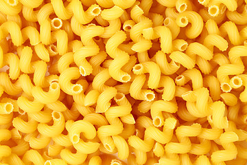 Image showing Cavatappi pasta