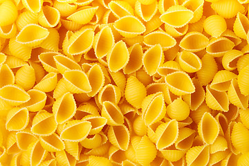 Image showing Conchiglioni pasta