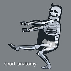 Image showing Skeleton anatomy sport male gymnastics