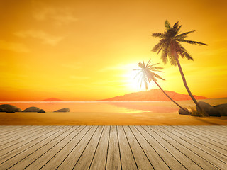 Image showing sunset palm tree