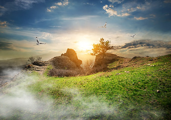 Image showing Meadow on mountain