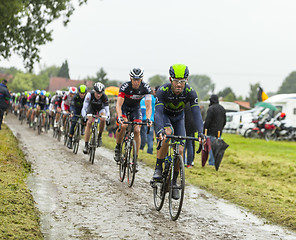 Image showing The Peloton on a Cobbled Road- Tour de France 2014