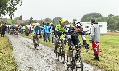 Image showing The Cyclist Michal Golas on a Cobbled Road - Tour de France 2014