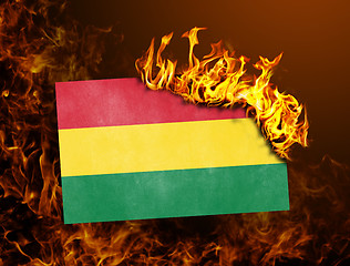 Image showing Flag burning - Bolivia