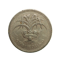 Image showing One Pound coin