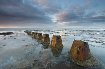 Image showing Early morning light at Coledale rock shelf