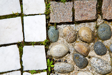 Image showing wall milan  in italy old   church grass background  stone