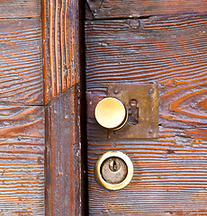 Image showing  brass brown knocker   wood  door vinago  varese italy