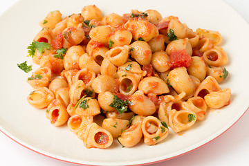 Image showing Plate of arrabbiata pasta elbows