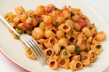 Image showing Arrabbiata macaroni pasta and fork