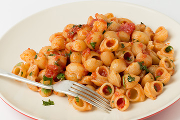 Image showing Macaroni shells with arrabbiata tomato sauce