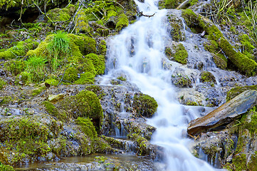 Image showing Wild creek falling down a hill