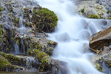 Image showing Wild creek falling down a hill