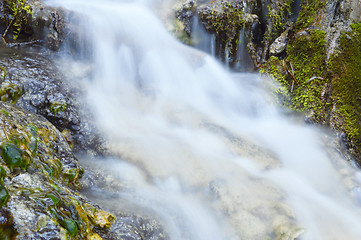 Image showing Wild creek falling down a hill