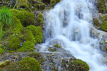 Image showing Wild creek falling down a hill