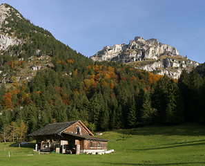 Image showing Farm Field in The Alps