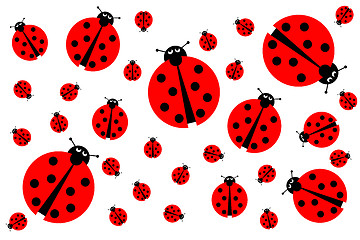 Image showing Many Ladybugs