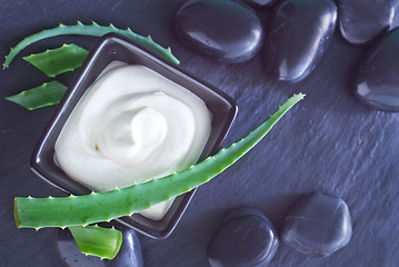 Image showing Aloe Vera with Lotion Box