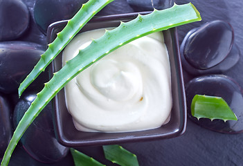 Image showing Aloe Vera with Lotion Box