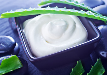 Image showing Aloe Vera with Lotion Box