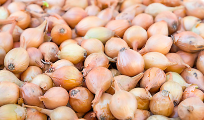 Image showing Bulb onion.