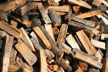 Image showing Firewood