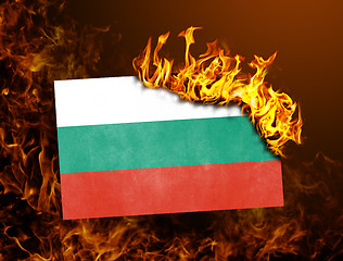 Image showing Flag burning - Bulgaria