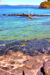 Image showing andilana  in indian ocean madagascar  