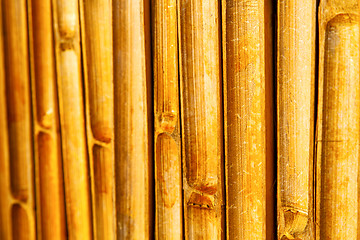 Image showing  cross bamboo  kho phangan bay asia and south  