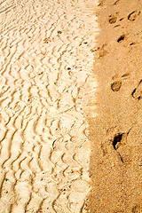 Image showing sand in the beach abstract thailand kho tao bay of a   