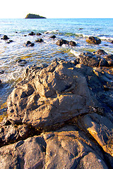 Image showing andilana beach seaweed in indian ocean  mountain     and rock