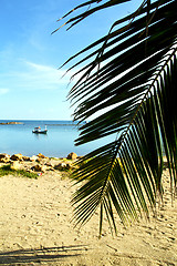 Image showing asia   kho bay isle     pirogue palm and     sea 