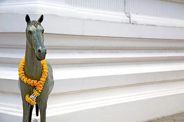 Image showing horse  in the temple bangkok bronze wat  palaces   