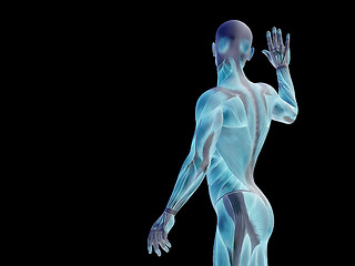 Image showing Conceptual human body anatomy on black