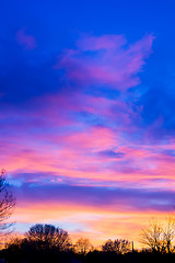 Image showing sunset over farm field landscape