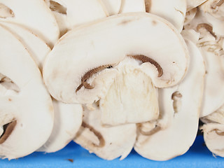 Image showing Champignon mushroom