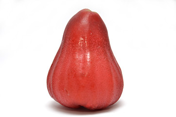 Image showing Rose apple
