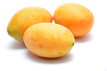 Image showing Sweet Marian plum