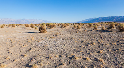 Image showing Death Valley Desert