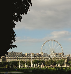 Image showing France, Paris - June 17, 2011: Jardin de Tuileries