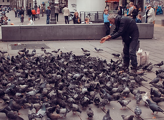 Image showing France, Paris - June 17, 2011: Bird Feeder