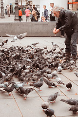 Image showing France, Paris - June 17, 2011: Bird Feeder