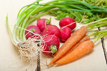 Image showing raw root vegetable 